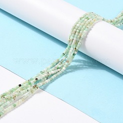 Natural Chrysoprase Beads Strands&nbsp;G-K315-A05