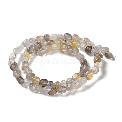Natural Agate Beads Strands&nbsp;G-D081-A04