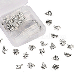 Zinc Alloy Charms&nbsp;PALLOY-CJ0001-100