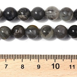 Natural Black Flower Amazonite Beads Strands&nbsp;G-G184-A05-01