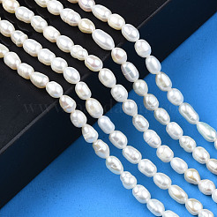 Natural Cultured Freshwater Pearl Beads Strands&nbsp;PEAR-N012-04B