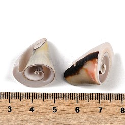 Natural Shiva Eye Shell Pendants&nbsp;SHEL-K009-17E