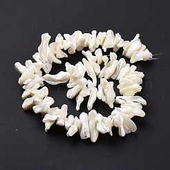 Natural Trochid Shell Beads Strands&nbsp;X-SSHEL-G023-05B