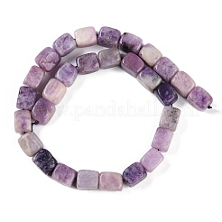 Natural Lepidolite Beads Strands&nbsp;G-M403-D06-01