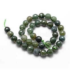 Natural Moss Agate Beads Strands&nbsp;G-D840-25-8mm