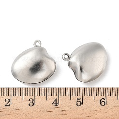316 Stainless Steel Pendants&nbsp;STAS-D143-01B-P