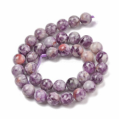 Natural Lepidolite/Purple Mica Stone Beads Strands&nbsp;G-G160-A01-02