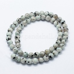 Natural Sesame Jasper/Kiwi Jasper Beads Strands&nbsp;G-I199-29-6mm