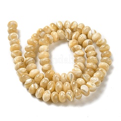 Natural Trochus Shell Beads Strands&nbsp;SHEL-K006-25A