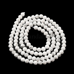 Natural Howlite Beads Strands&nbsp;G-E608-A01-B