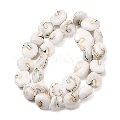Natural Seashell Shell Beads Strands&nbsp;SH-CBAFA8D-01