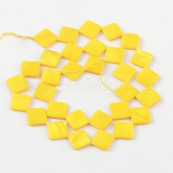 Natural Freshwater Shell Beads&nbsp;SHEL-S214-1