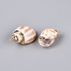 Electroplate Natural Sea Shell Pendants&nbsp;SSHEL-Q100-09KCG