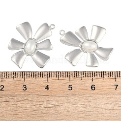 304 Stainless Steel Pendants&nbsp;STAS-Z070-02P-04