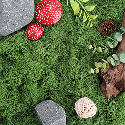 150g Artificial Moss Rocks&nbsp;DJEW-SP0001-22A