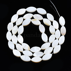 Natural Freshwater Shell Beads Strands&nbsp;SHEL-Q024-017
