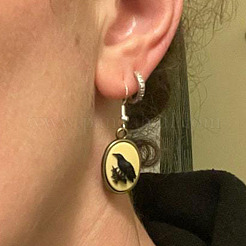Alloy Enamel Dangle Earrings&nbsp;FS-WGA17FA-01