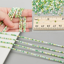 2 Strands Handmade Lampwork Beads Strands&nbsp;LAMP-NB0002-08E