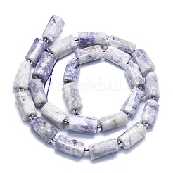Natural Purple Turquoise Beads Strands&nbsp;G-K245-I09-A01