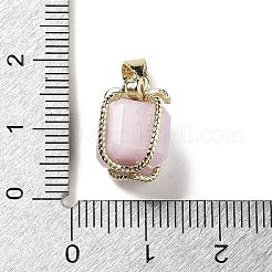 Natural Kunzite Gift Box Charms&nbsp;G-P523-01G-04