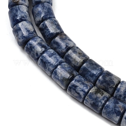 Natural Blue Spot Jasper Beads Strands&nbsp;G-G275-D21-10x10mm