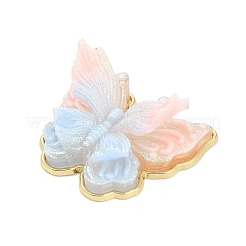 Alloy & Resin & Glitter Powder Pendants&nbsp;RE-CBA4A70-01E