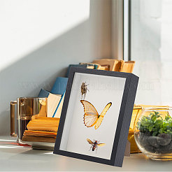 DIY Insect Specimen Display Box Kits&nbsp;DIY-GL0006-09