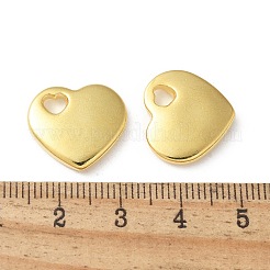 304 Stainless Steel Pendants&nbsp;STAS-I330-031G