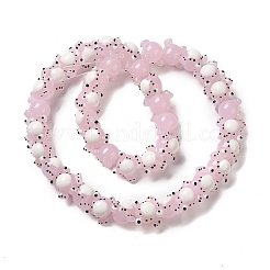 Handmade Lampwork Beads Strands&nbsp;LAMP-Z010-02E