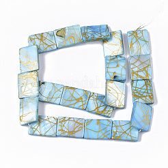 Drawbench Freshwater Shell Beads Strands&nbsp;SHEL-T014-006