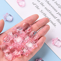 Transparent Acrylic Pendants&nbsp;TACR-S154-28B-26