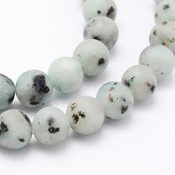 Natural Sesame Jasper/Kiwi Jasper Beads Strands&nbsp;G-F518-18-8mm