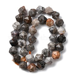 Natural Fossil Coral Beads Strands&nbsp;G-Z119-A26-03