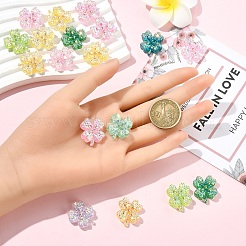 20Pcs Transparent Resin Cabochon&nbsp;CRES-YW0002-59