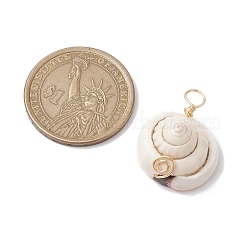 Natural Shiva Eye Shell Copper Wire Wrapped Pendants&nbsp;PALLOY-JF02680-01