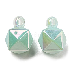 Acrylic Pendants&nbsp;LS-OACR-B011-A01