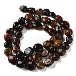 Three-Color Natural Tiger Eye Beads Strands&nbsp;G-C268-A04-8x10mm