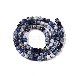 Natural Blue Spot Jasper Beads Strands&nbsp;G-N342-113