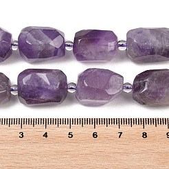 Natural Amethyst Beads Strands&nbsp;G-Z147-E02-01