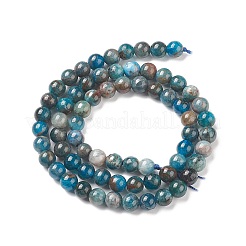 Natural Apatite Beads&nbsp;LS-G-E481-05-6mm-01