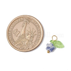 10Pcs Natural Blue Spot Jasper Flower Charms&nbsp;PALLOY-JF03765-03