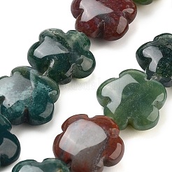 Natural Indian Agate Beads Strands&nbsp;G-F769-K01-01