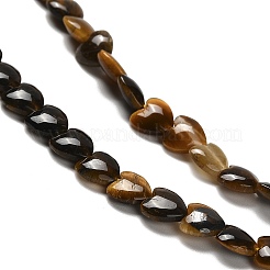 Natural Tiger Eye Beads Strands&nbsp;G-P575-C10-6mm