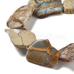 Natural Aqua Terra Jasper Beads Strands&nbsp;G-E444-11-A01