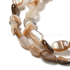 Natural Seashell Beads Strands&nbsp;SSHEL-H072-14