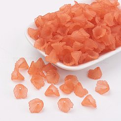 Transparent Acrylic Beads&nbsp;LS-PL622-C12