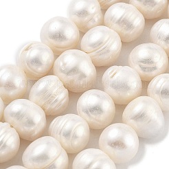 Natural Cultured Freshwater Pearl Beads Strands&nbsp;PEAR-C003-20C