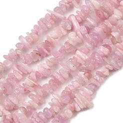 Natural Kunzite Beads Strands&nbsp;G-P597-A01-01