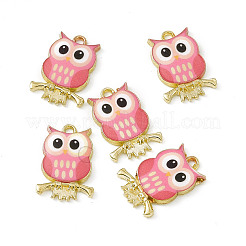 Painted Alloy Pendants&nbsp;PALLOY-P288-01G-09