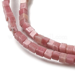 Natural Rhodonite Beads Strands&nbsp;G-B064-A08